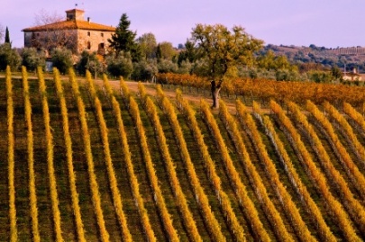 Escapada a Toscana